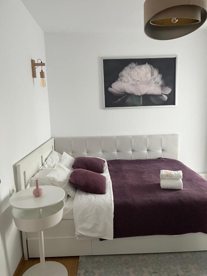 Alma Apartments スチャヴァ エクステリア 写真
